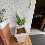 Casa Gorjao * Anadia