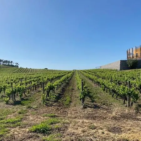 Privat bolig Casa Gorjao Anadia