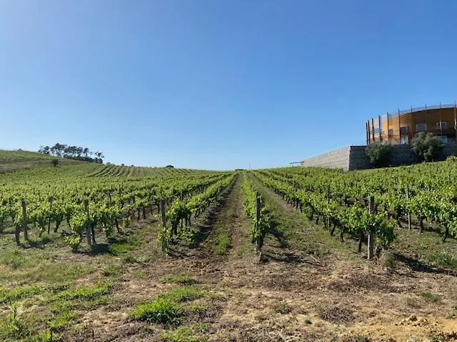 Ubytování v soukromí Casa Gorjao Anadia